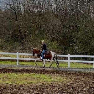 Meet your Posher, Shalee